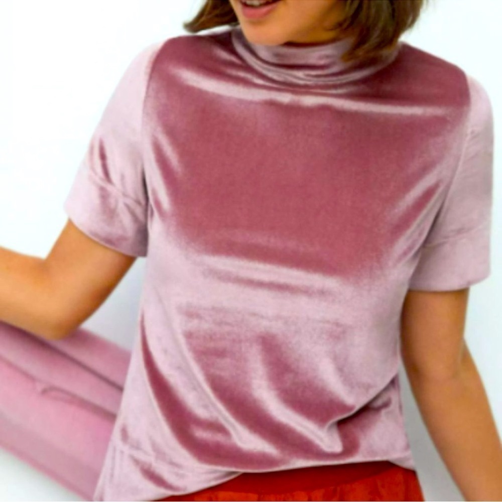 ANTHROPOLOGIE Krisha Mauve Crushed Velvet Mock Neck Short Sleeve Top